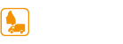 Mobile Aesthetics